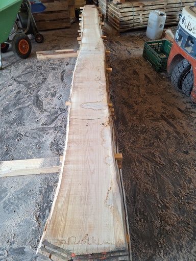 [PL-CHE-1073-9] Plateau Chêne Commun 28 x 210-310 x 4030 mm de la boule 1073 - 9