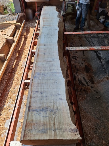 [PL-CHE-1075-1] Plateau Chêne Commun 63 x 390-490 x 4110 mm de la boule 1075 - 1