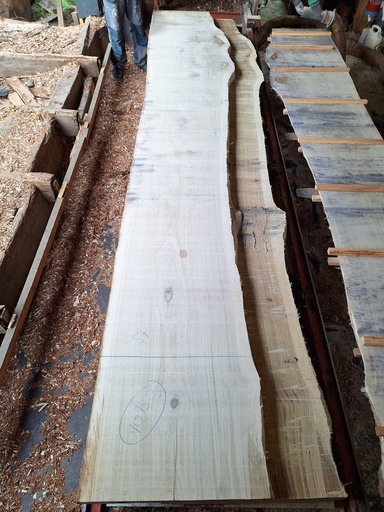 [PL-CHE-1075-3] Plateau Chêne Commun 63 x 570-680 x 4110 mm de la boule 1075 - 3