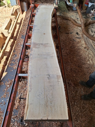 [PL-CHE-1077-2] Plateau Chêne Commun 53 x 480-560 x 3910 mm de la boule 1077 - 2