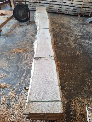 [BL-CHE-1079] Boule Chêne Commun - 1079