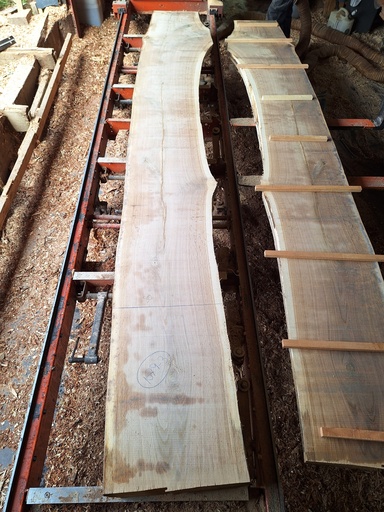 [PL-CHE-1079-3] Plateau Chêne Commun 43 x 500-610 x 4000 mm de la boule 1079 - 3