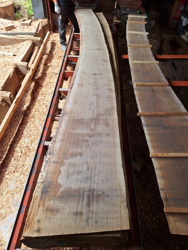 [PL-CHE-1080-2] Plateau Chêne Commun 53 x 340-580 x 4150 mm de la boule 1080 - 2