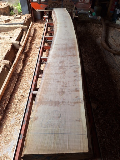 [PL-CHE-1080-3] Plateau Chêne Commun 53 x 420-620 x 4150 mm de la boule 1080 - 3