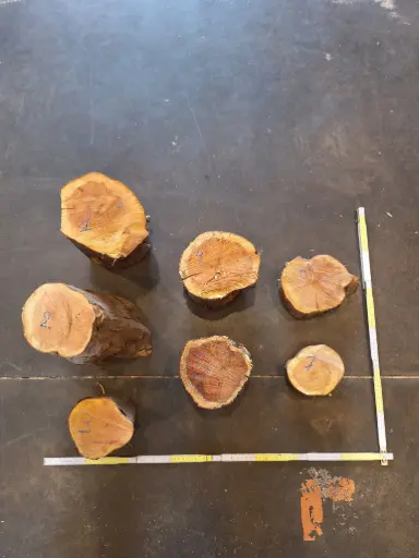 [BA-6] Tronçon de If  - BA-6